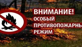 О введении на территории Чупинского городского  поселения особого противопожарного режима (апрель 2026)